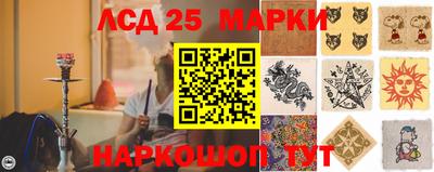 СК Шахты