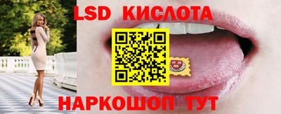 СК Шахты