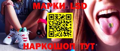 гидра Шебекино