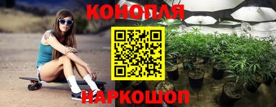 СК Шахты